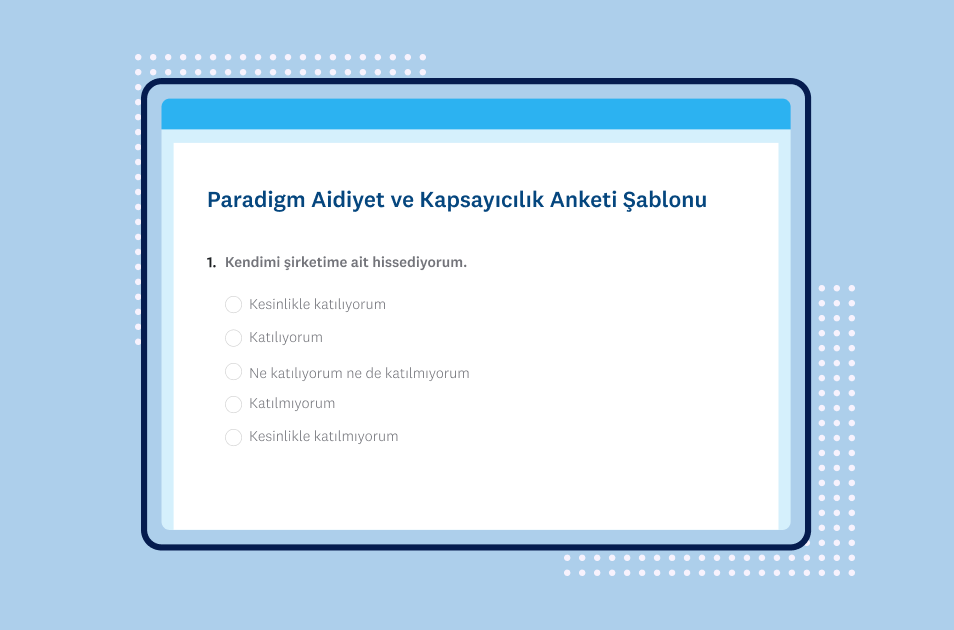 Aidiyet ve kapsayıcılık anketi